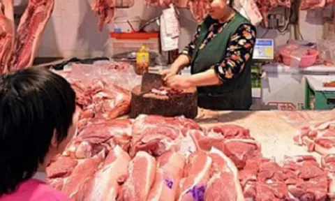 Các nước Đông Nam Á ráo riết ngăn chặn virus dịch tả lợn châu Phi xâm nhập